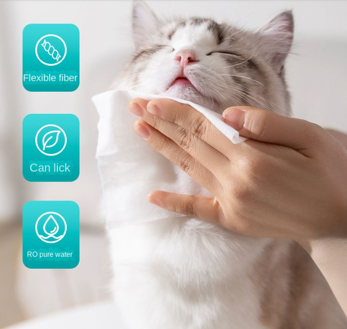 Pet Care Wet Wipes for Cats & Dogs – 100 Count