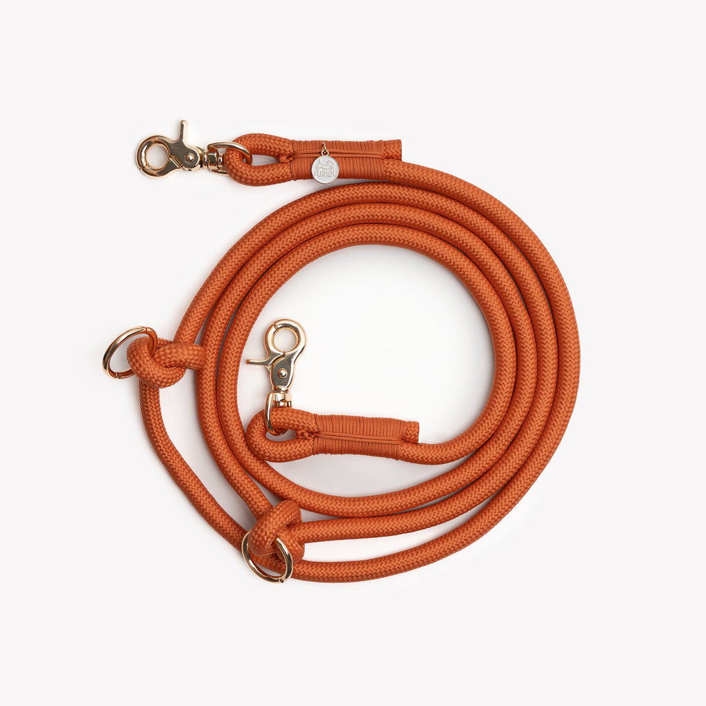 'Terracotta' - Hands Free Braided Leash