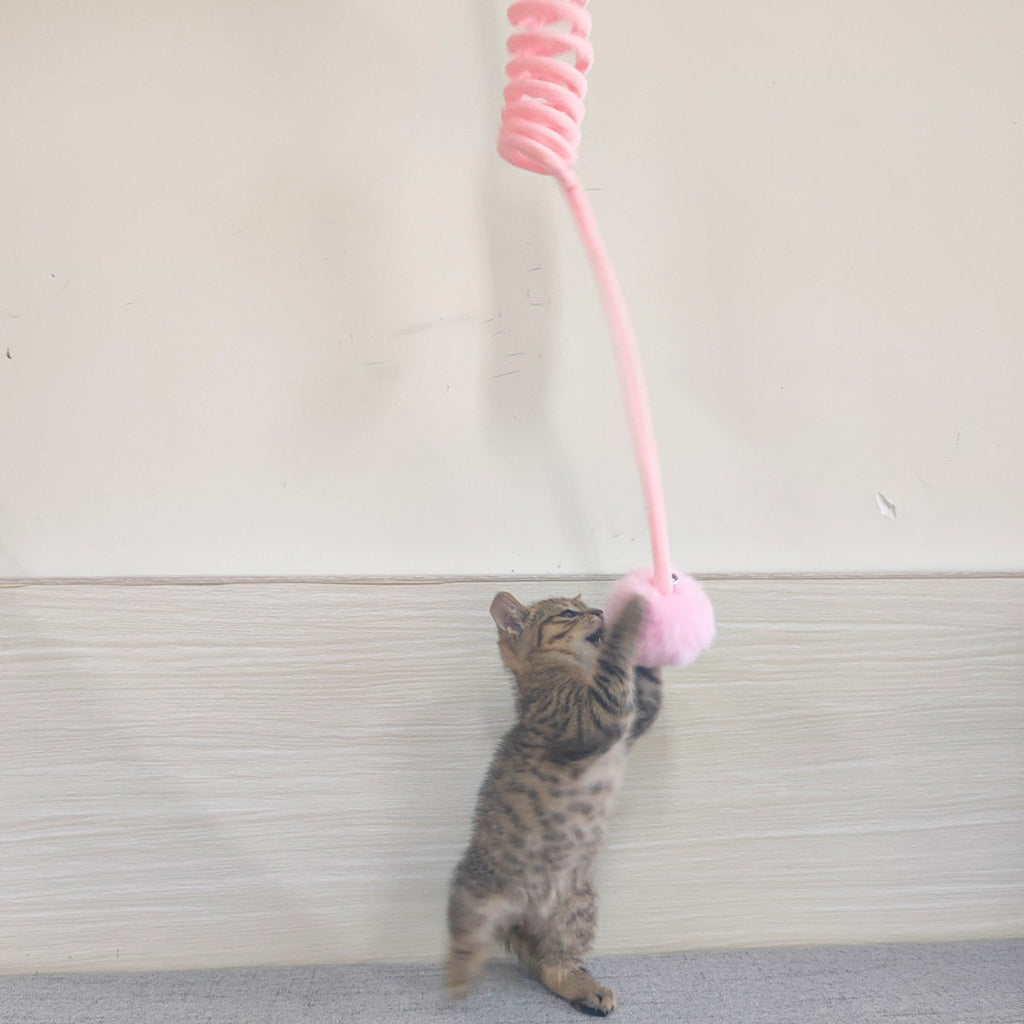 Suction-Cup Spring Cat Toy
