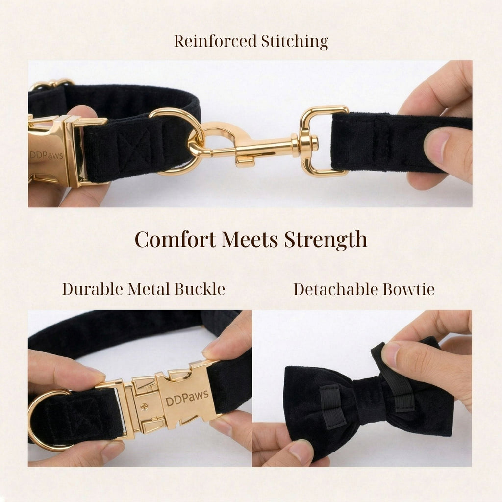 Black Velvet Dog Walking Accessories & Sets