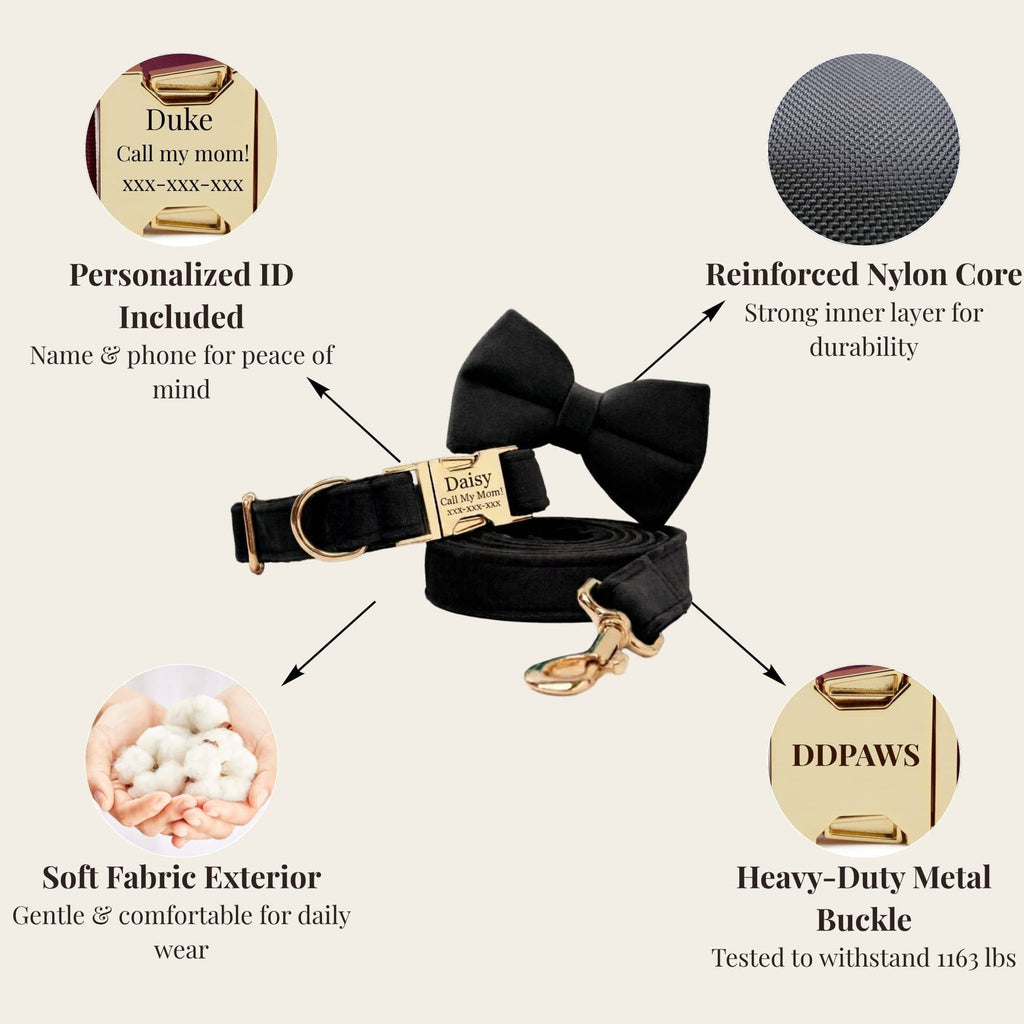 Black Velvet Dog Walking Accessories & Sets