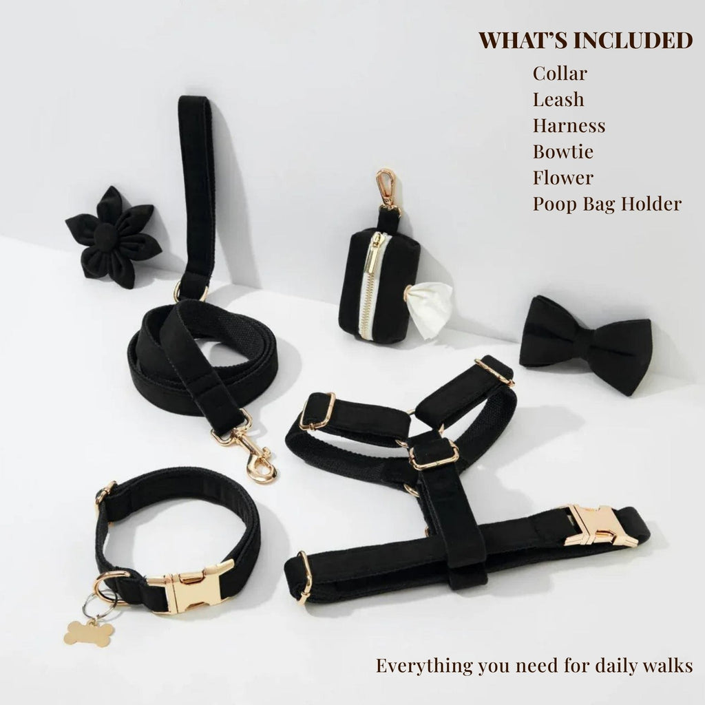 Black Velvet Dog Walking Accessories & Sets