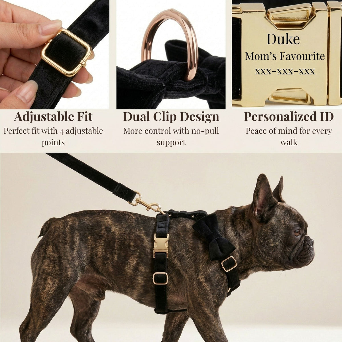 Black Velvet Dog Walking Accessories & Sets