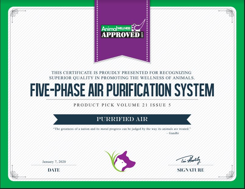 Litter Box Air Purifier, the Classic