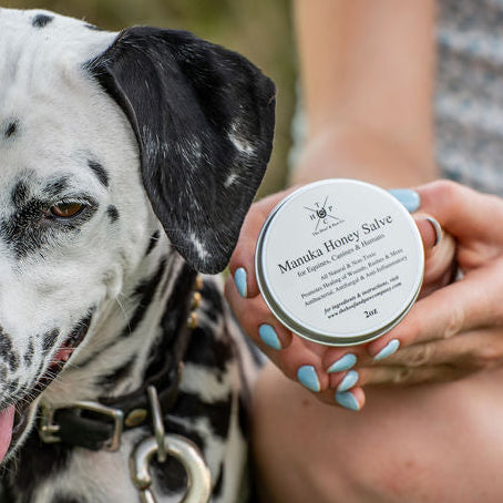 Manuka Honey Salve for Dogs, Horses & Humans