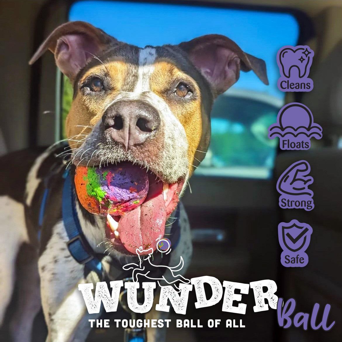 WUNDERball Natural Rubber Fetch Ball