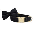 Black Velvet Dog Walking Accessories & Sets