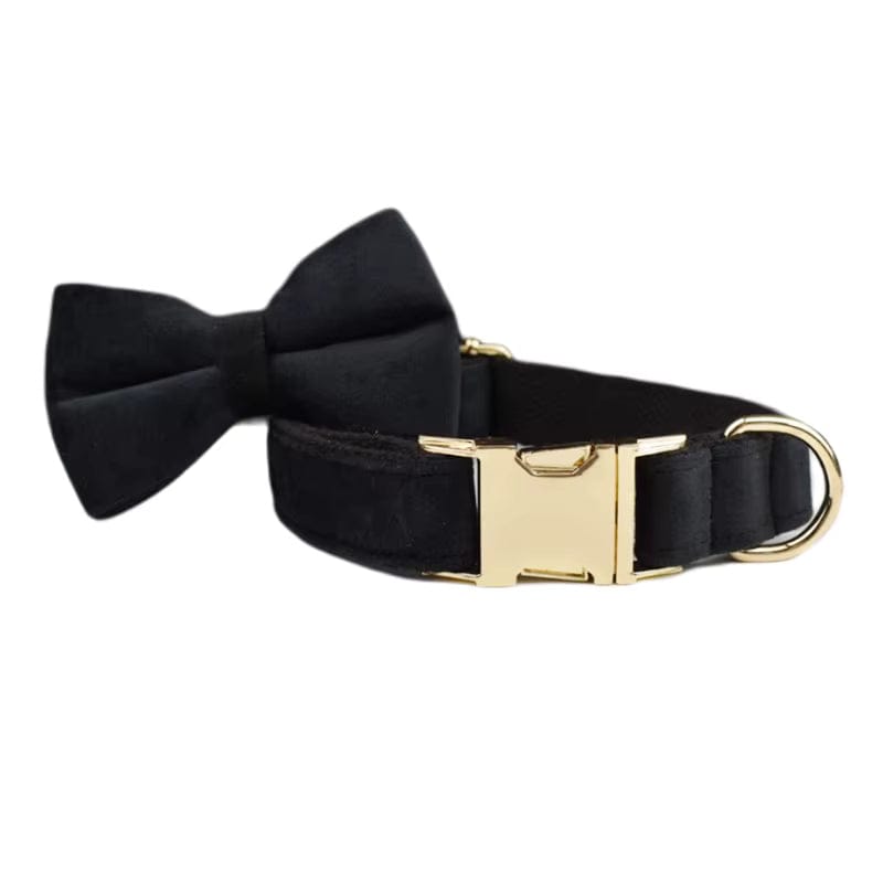 Black Velvet Dog Walking Accessories & Sets