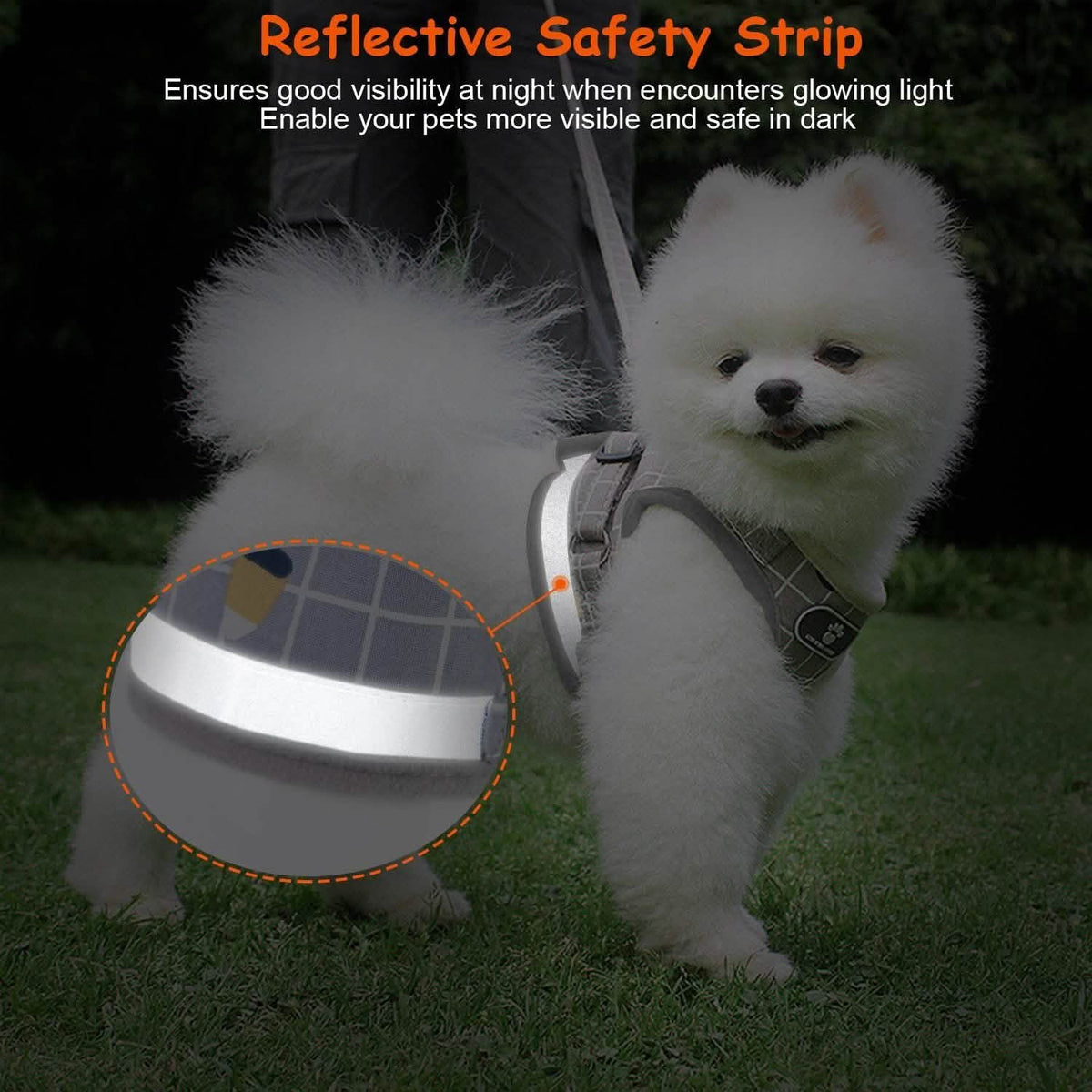 Adjustable Mesh Dog Harness & Leash Set