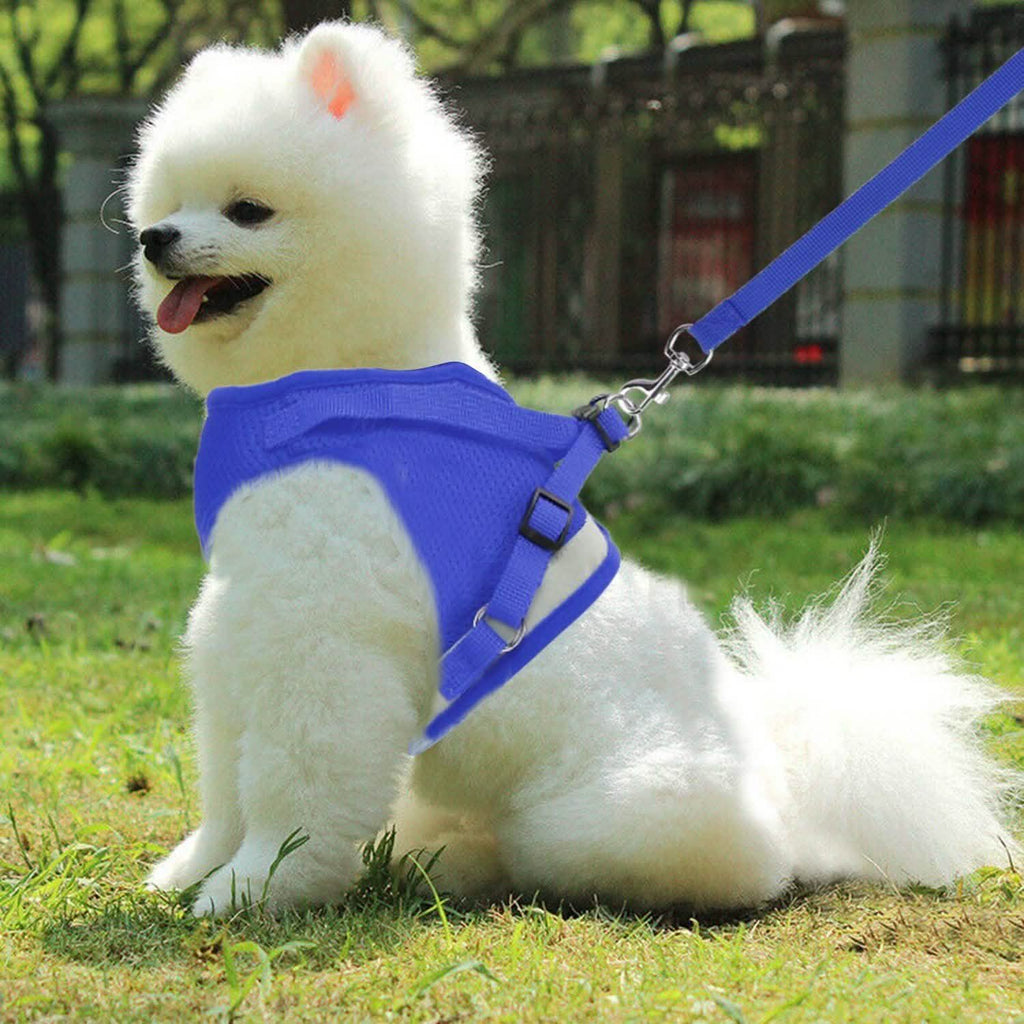 Adjustable Mesh Dog Harness & Leash Set