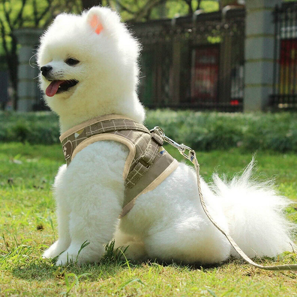 Adjustable Mesh Dog Harness & Leash Set