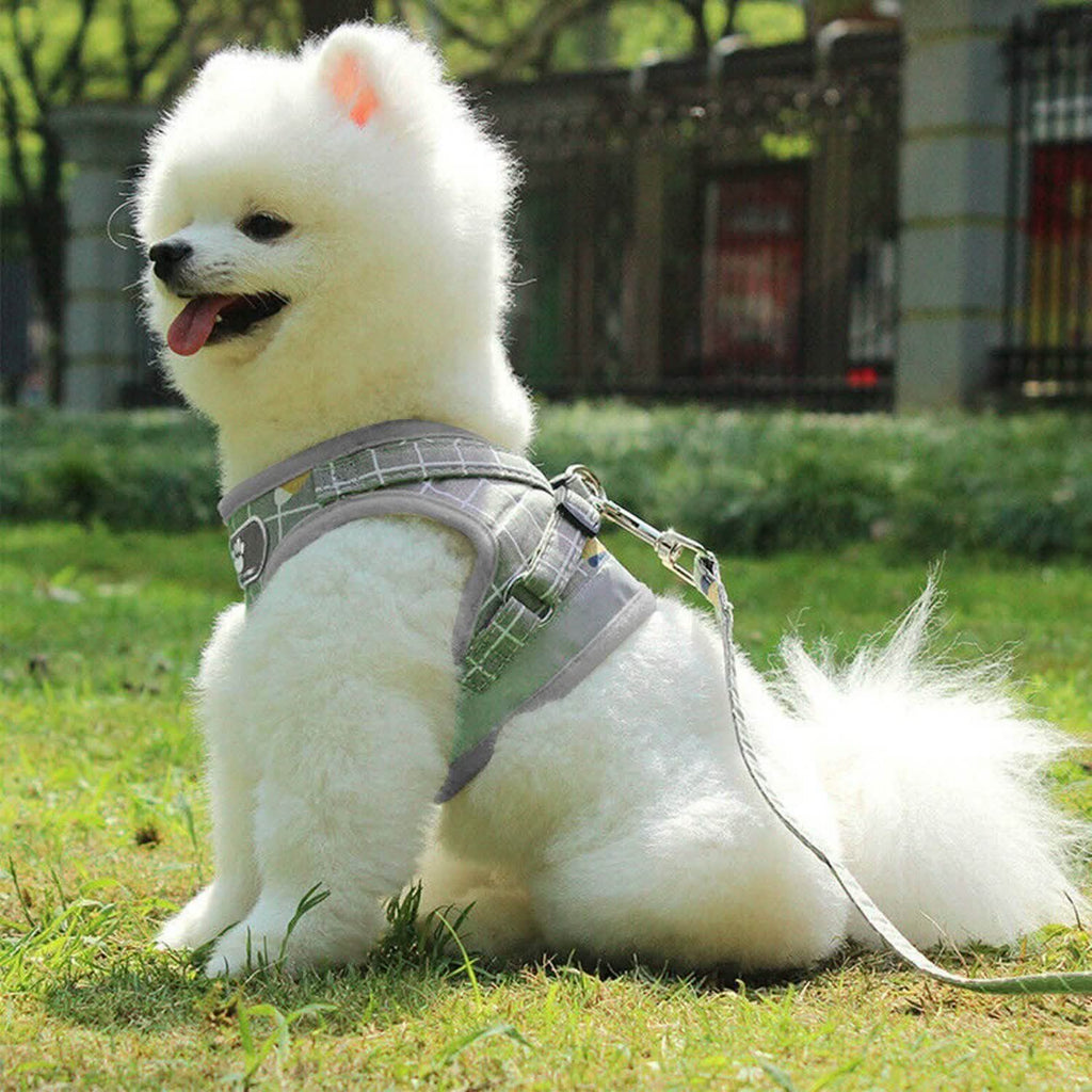 Adjustable Mesh Dog Harness & Leash Set
