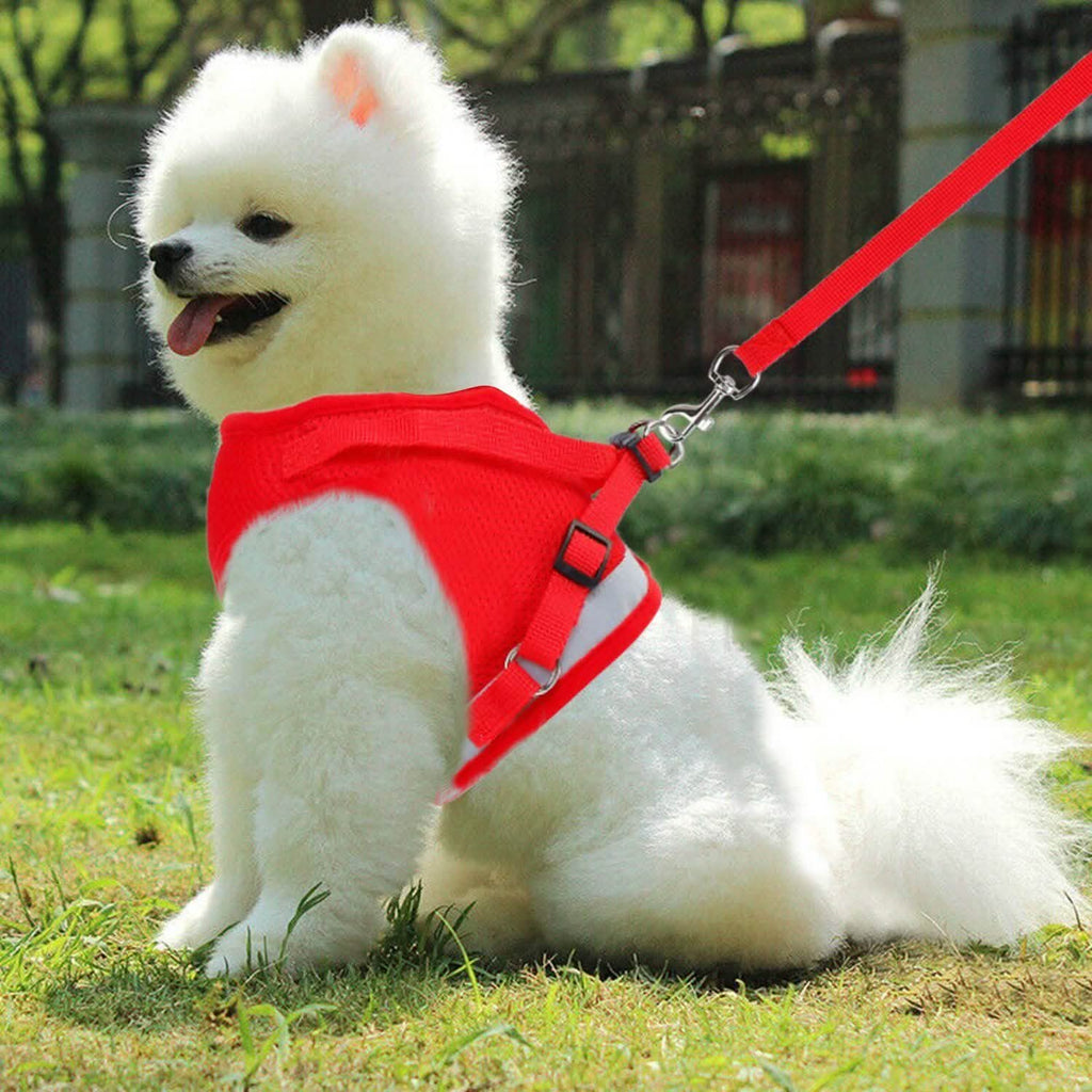 Adjustable Mesh Dog Harness & Leash Set