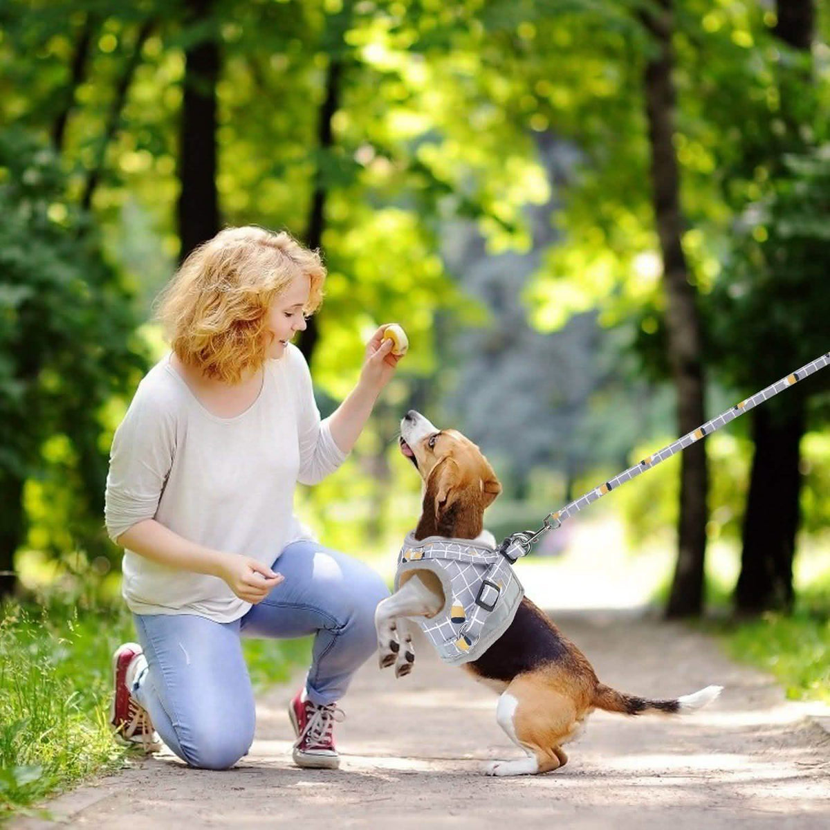Adjustable Mesh Dog Harness & Leash Set