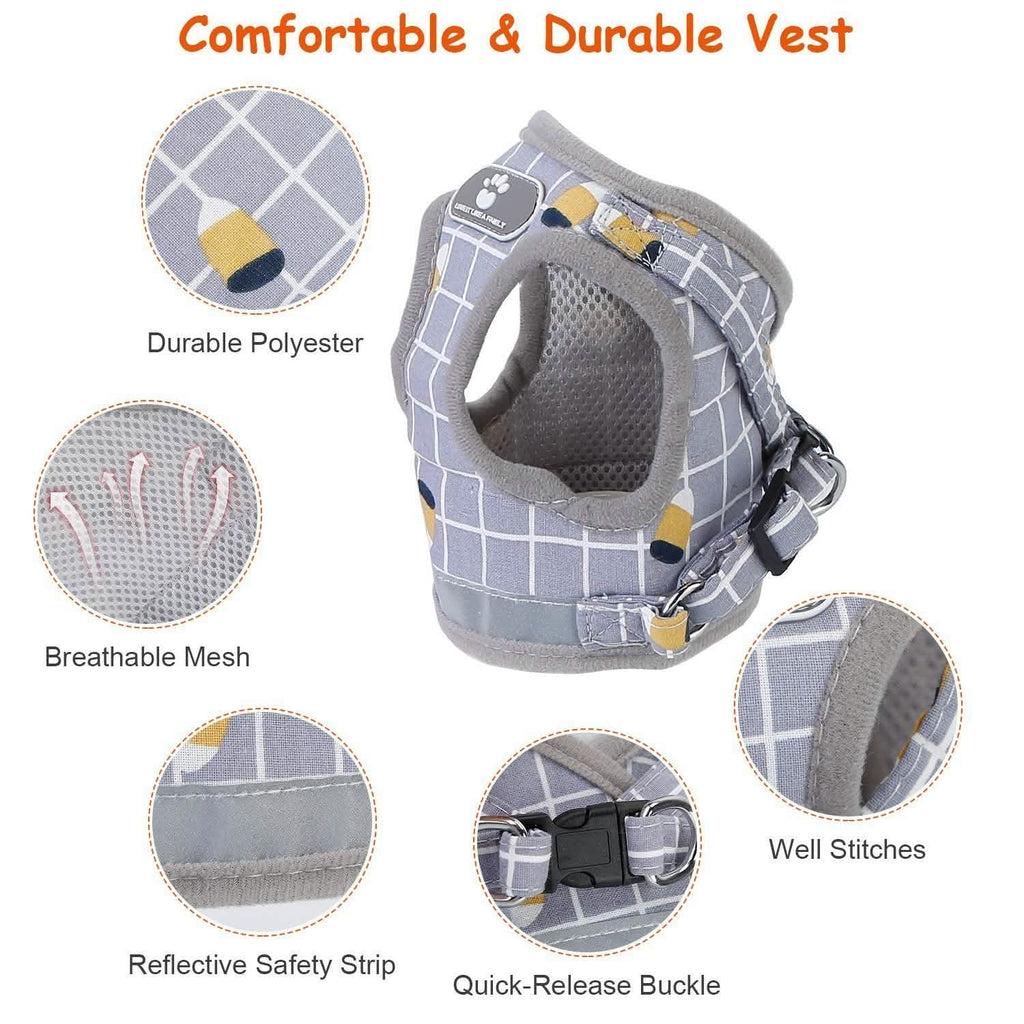 Adjustable Mesh Dog Harness & Leash Set