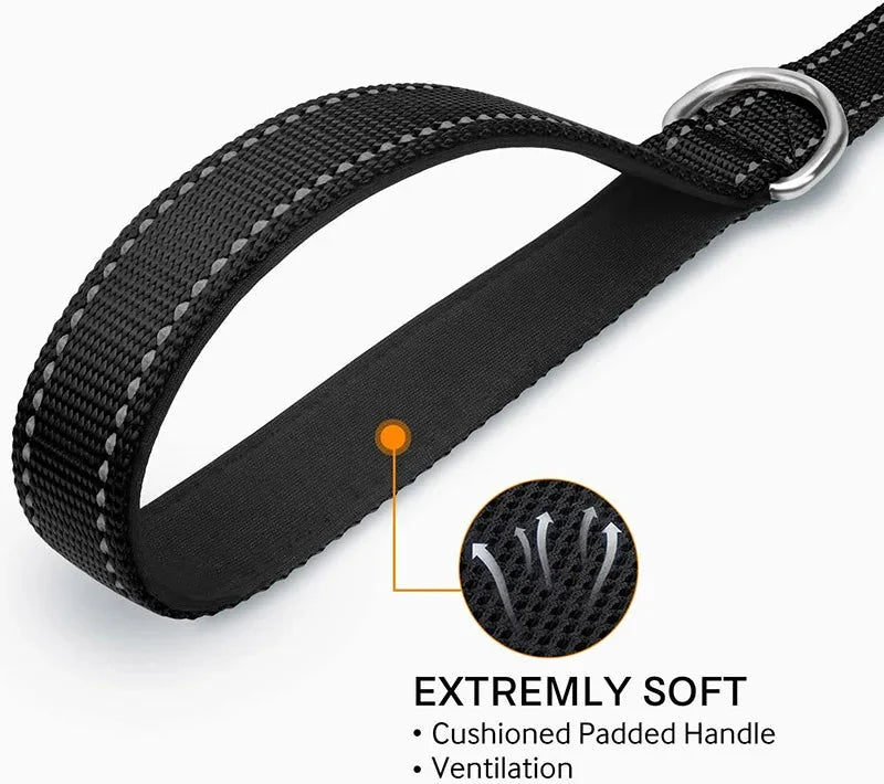 Reflective Polyester Pet Leash