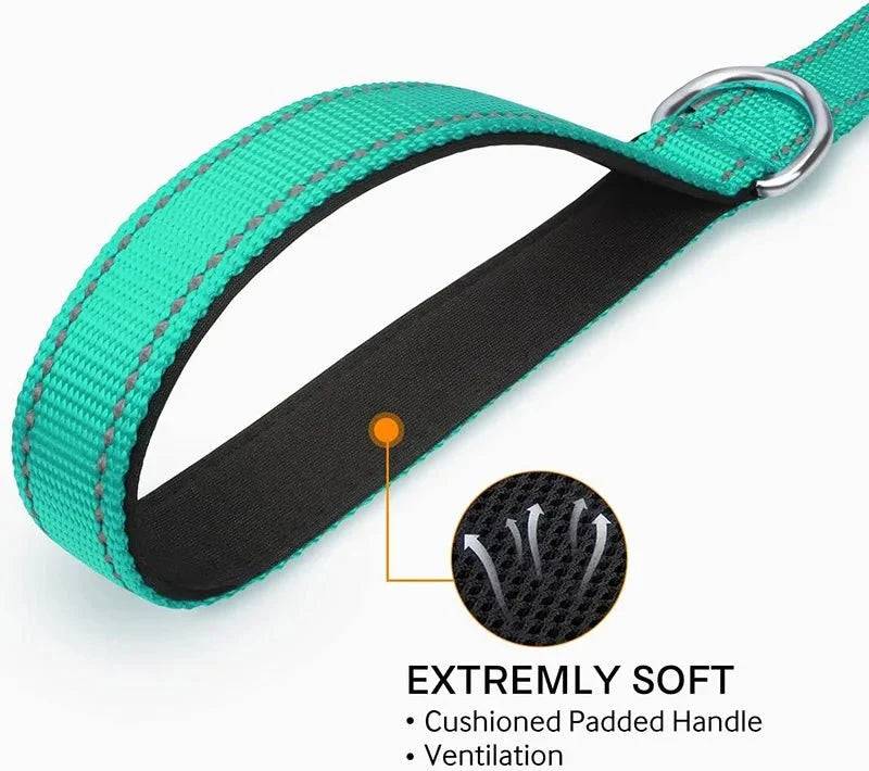Reflective Polyester Pet Leash