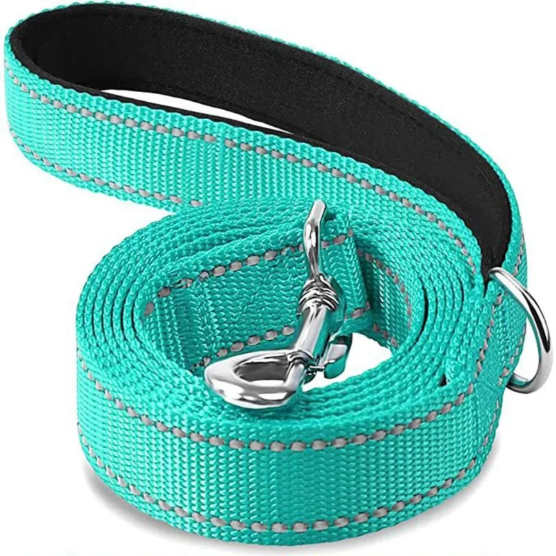 Reflective Polyester Pet Leash