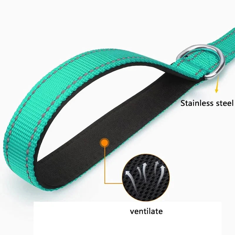 Reflective Polyester Pet Leash