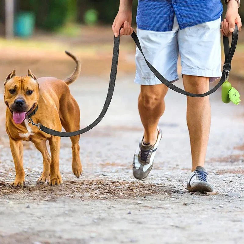 Reflective Polyester Pet Leash