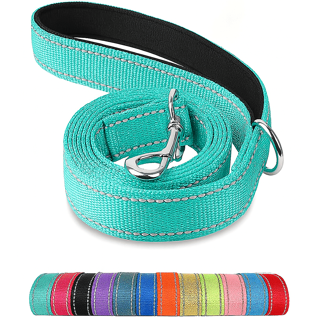 Reflective Polyester Pet Leash